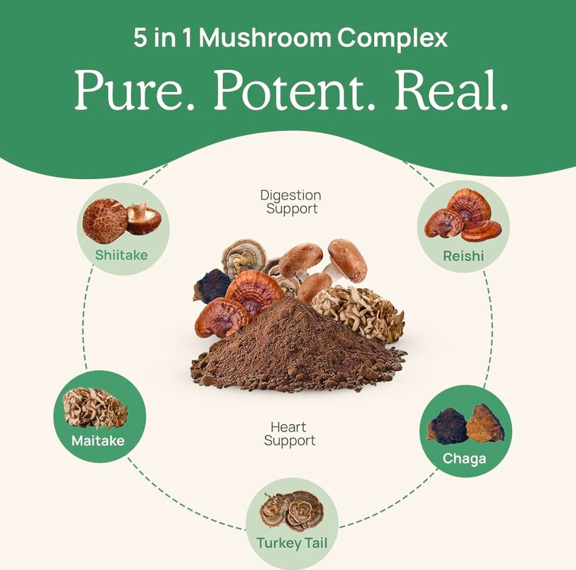 Real Mushrooms 5 Defenders Powder 45g