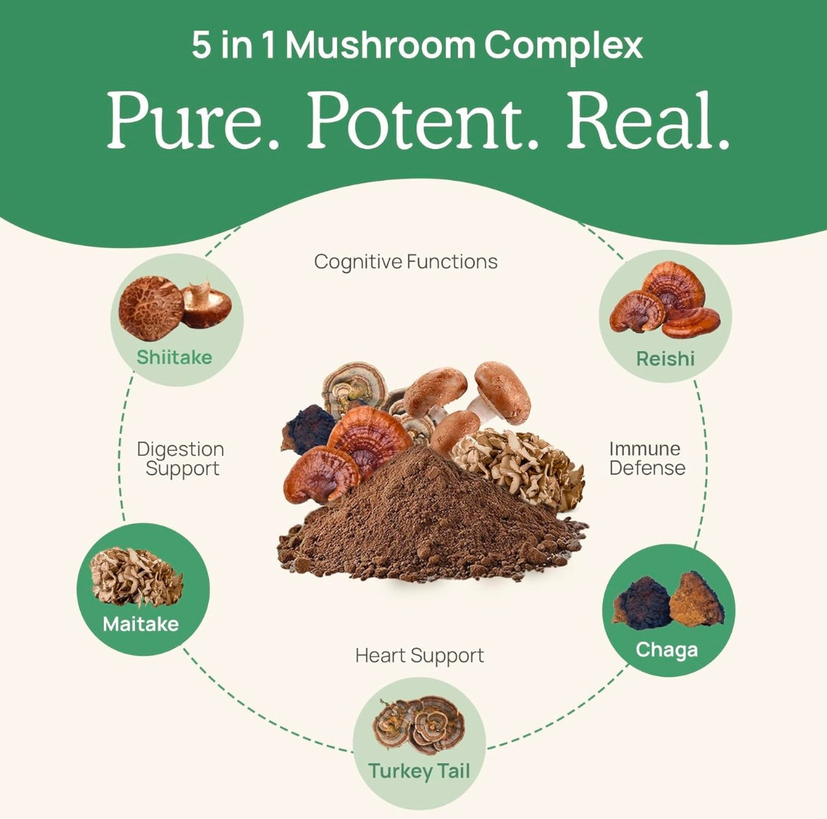 Real Mushrooms 5 Defenders Powder 100g