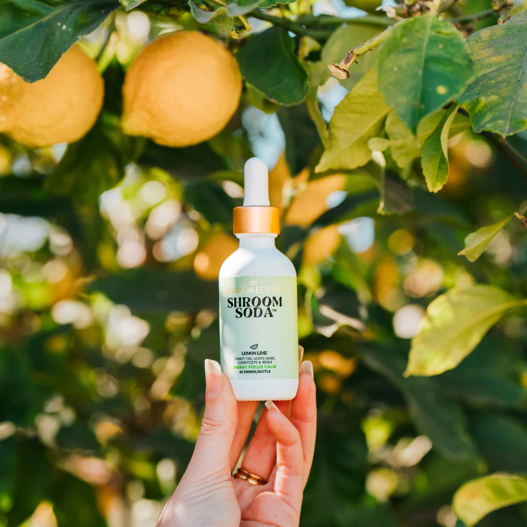Ananda Elixirs Shroom Soda 1600mg mushroom extract liquid drops in a dark glass dropper bottle with a white label.