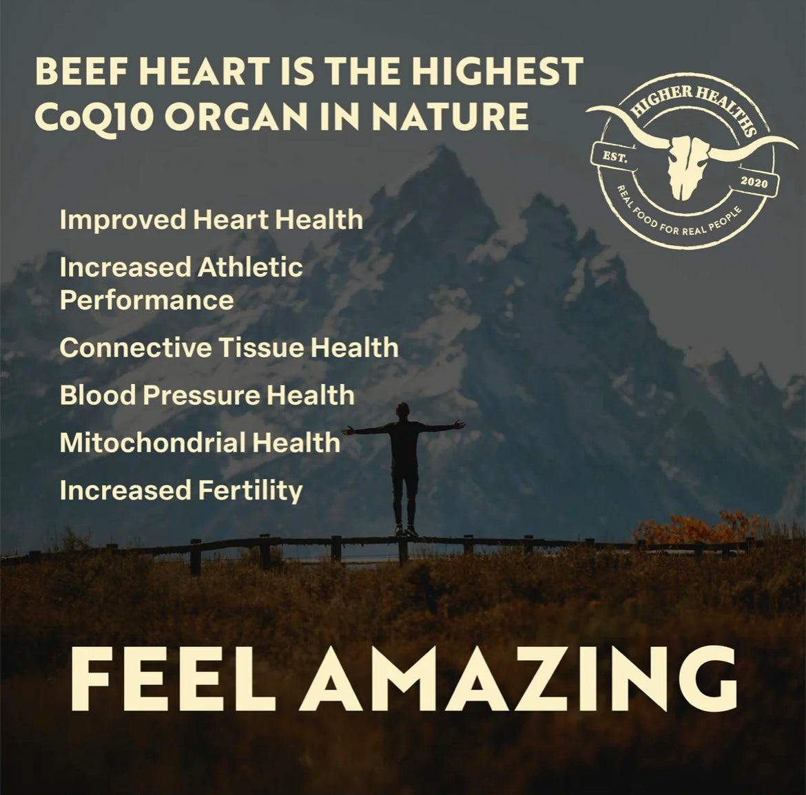 Higher Healths Beef Heart - Antioxidant Abundance - Glass Bottle, 180 caps