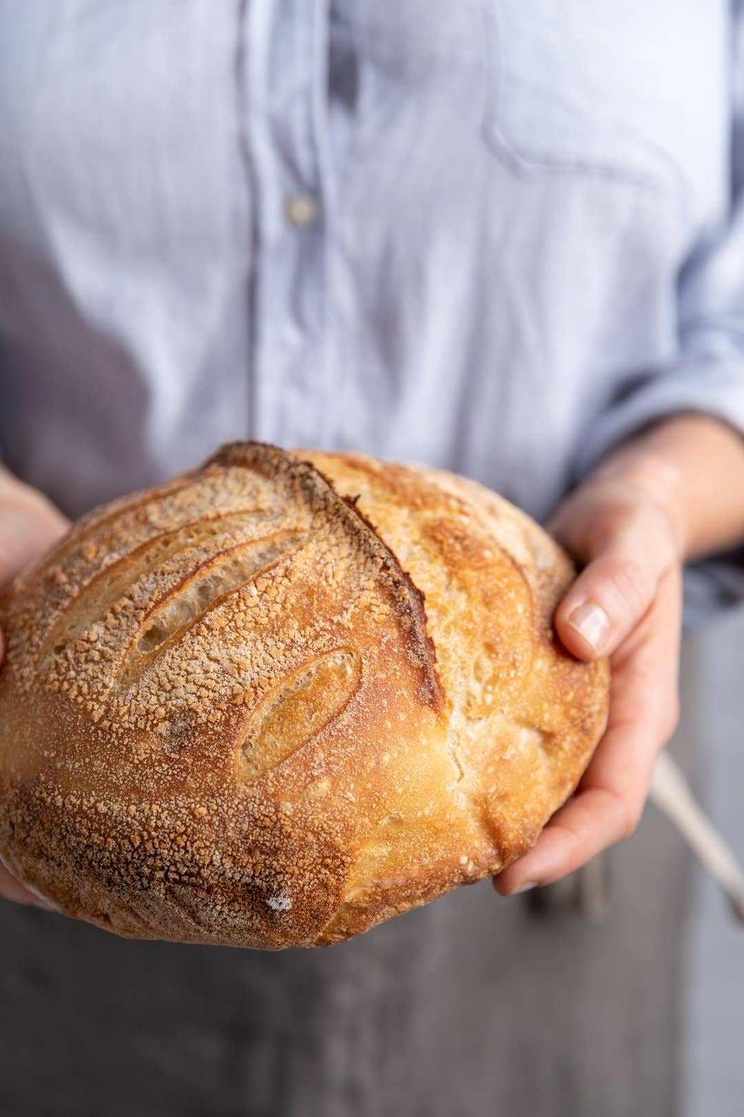 Artisan Sourdough Kit, Case (8 units)