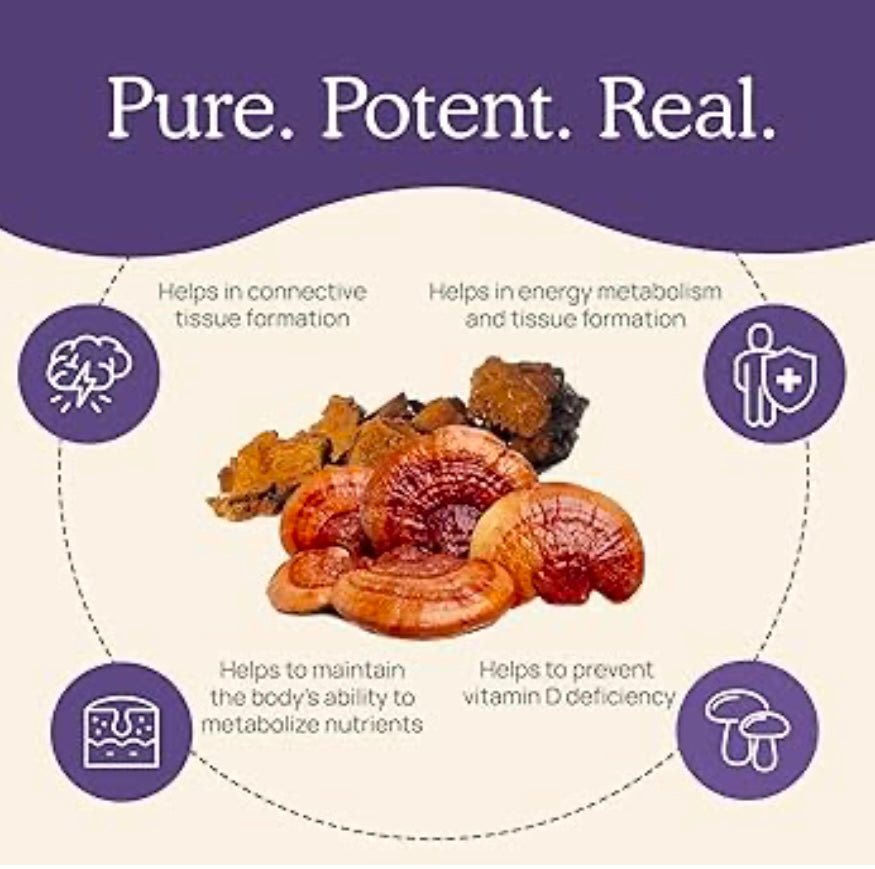 Real Mushrooms Mushroom D2Z (120 Capsules)