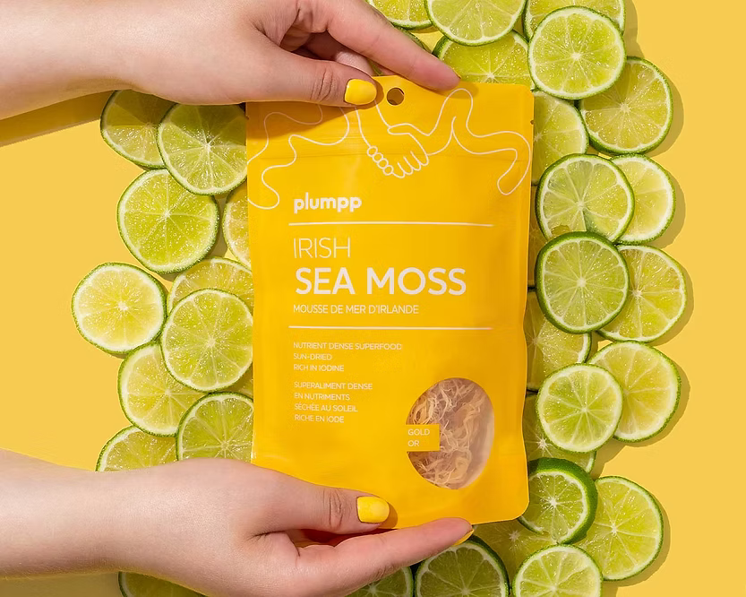 Plumpp Irish Sea Moss Gold 120g Powder