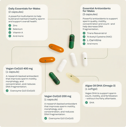 Bird&Be Male Fertility Power Pack with CoQ10 Boost