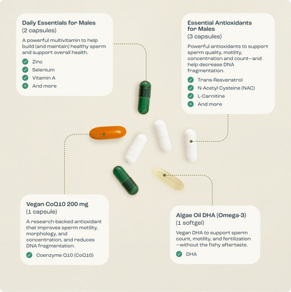 Bird&Be Male Fertility Power Pack