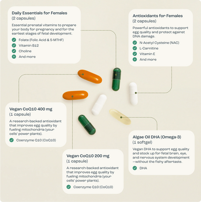Bird&Be Power Prenatal for Females with CoQ10 Boost