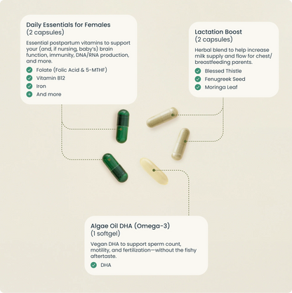 Bird&Be The Postpartum with Lactation Boost Capsules