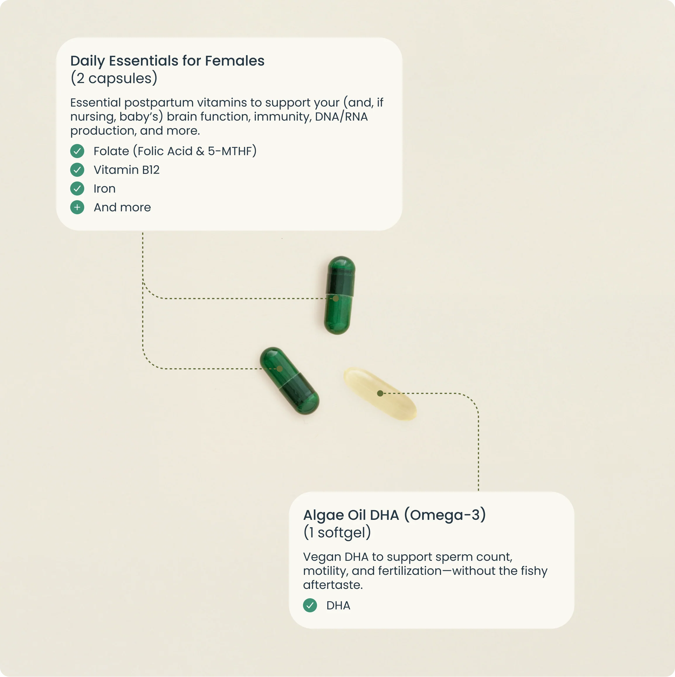 Bird&Be The Postpartum Postnatal Multi-Nutrient Capsules