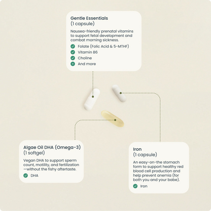 Bird&Be The Gentle Prenatal Pack - Essential Pregnancy Vitamins for Nausea Relief
