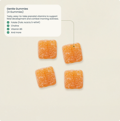 Bird&Be Gentle Prenatal Gummies - Iron-Free Prenatal with Nausea Support