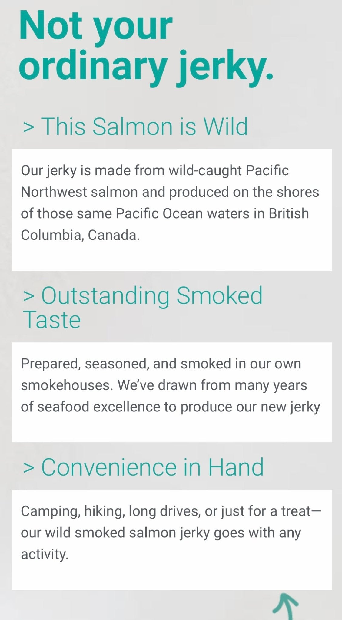 RAINCOAST - Wild Salmon Jerky Original 50g (limited edition)